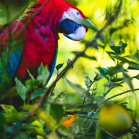 Karia Princess 4* Bodrum