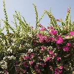 فند كاريا برنسيس فندق 4*