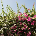 فندق فند كاريا برنسيس 4*
