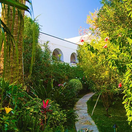 카리아 프린세스 Bodrum