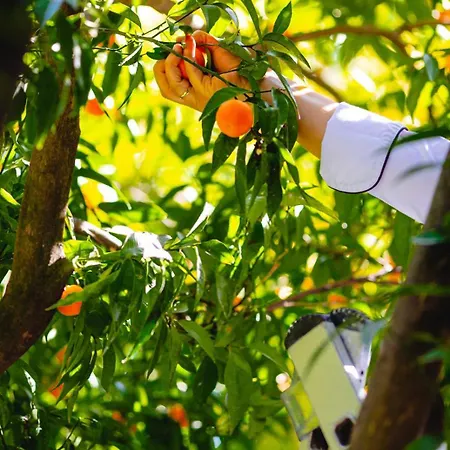 카리아 프린세스 호텔 4*