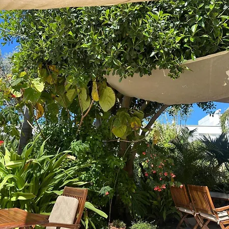 카리아 프린세스 호텔