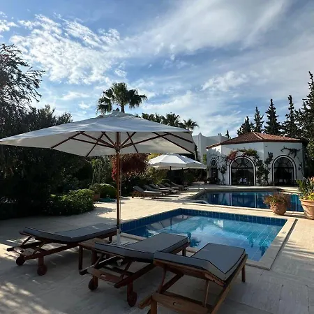 카리아 프린세스