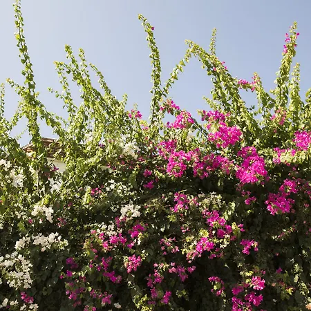 카리아 프린세스 호텔 4*