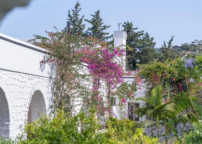 Karia Princess Αλικαρνασσός