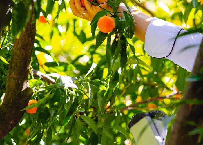 Karia Princess Ξενοδοχείο 4*