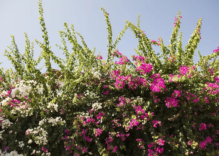 Karia Princess Ξενοδοχείο 4*