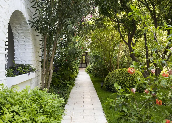 カリア プリンセス 4*