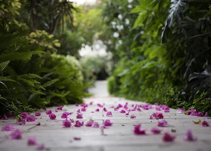 カリア プリンセス