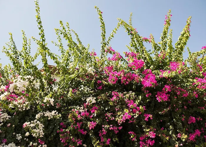 ホテル カリア プリンセス 4*