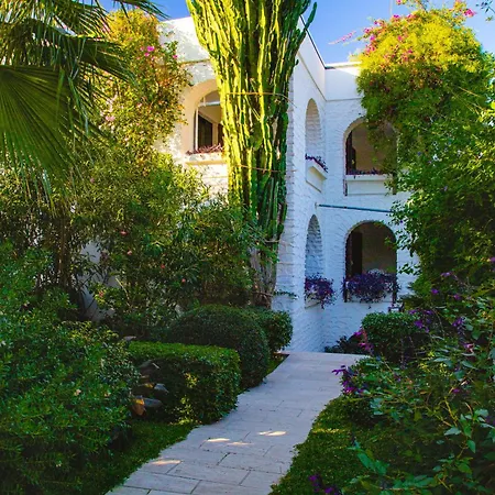 カリア プリンセス