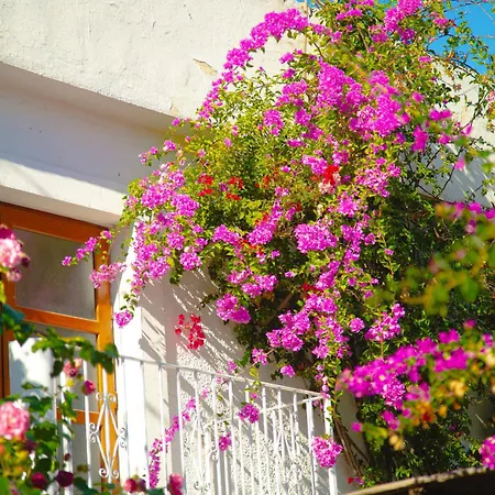 Otel Karia Princess 4*