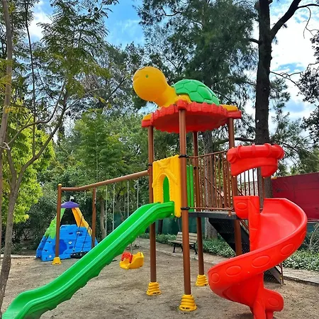 カリア プリンセス