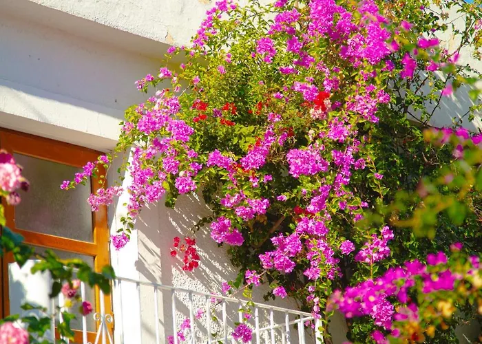 Otel Karia Princess 4*