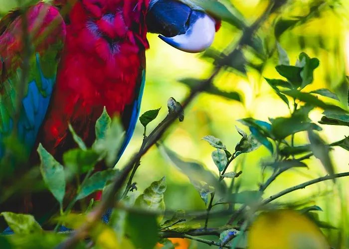 Karia Princess 4* Bodrum